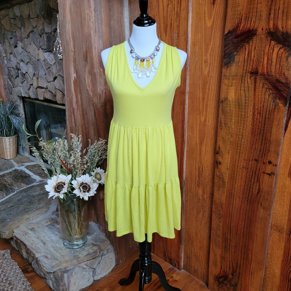 Nwt oversized dress (L)